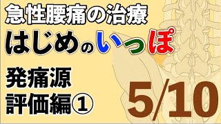 【初学者向け】急性腰痛に対するファシアハイドロリリース　発痛源評価編①