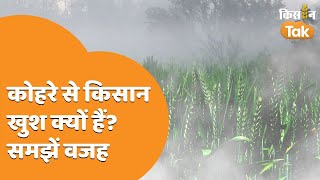 UP में छाया कोहरा, जानें इसका फसलों पर क्या होगा असर | Weather | Effect of fog on Crops | Kisan Tak