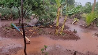 A CHUVA CHEGOU FORTE AQUI  NA ROÇA REGIÃO DE IRECÊ BAHIA