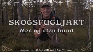 Skogsfugljakt med stående fuglehund støkkjakt - Bernt gjør ting han ikke kan Ep28-Tiur Orrfugl Røy