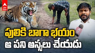 Srikakulam Tiger Update | శ్రీకాకుళం డీఎఫ్‌ఓవో ఫేస్ టు ఫేస్ | ABP Desam