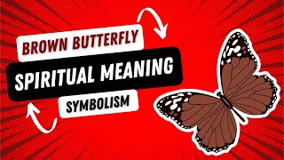 Brown Butterfly Meaning, Symbolism and Spiritual Significance