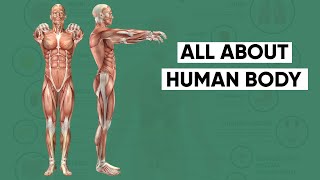 20 Amazing Facts About Human Body- 8 || मानव शरीर के 20 रोचक तथ्य || Humanscience || Science Manic