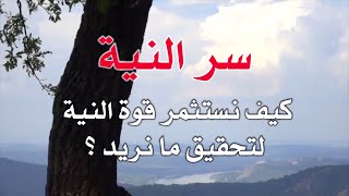 سر النية .. كيف تستثمر قوة النية لتحقيق ما تريد !! مع د. نجاة فرادي ...#النجاة  #قناة_النجاة