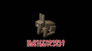 うさぎを色を変える！ #マイクラ  #マインクラフト # まいくら #minecraft #shorts