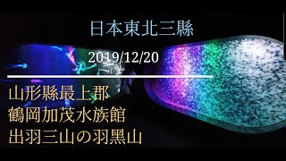 2019日本東北三縣10日自由行P5（12/20）山形縣最上郡與日本最療癒的鶴岡加茂水族館