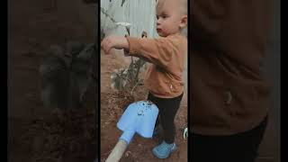 OMG 😱BRAVE BABY😂 #shorts #youtubeshorts #short #funny #fyp #viral #shortvideo #viralshorts #cute