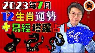 2023年7月運勢｜12生肖流月運勢 - 兔龍蛇(07/07~08/08) ｜易經塔羅牌占卜｜紫微斗數運勢預測｜財、事業、姻緣、子女、健康｜何癸銘｜癸銘｜CC繁簡體字幕｜