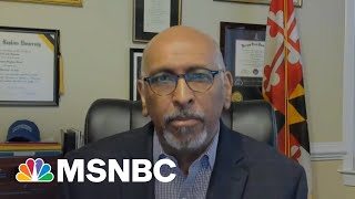 Over Half Of Republicans Believe Election Was Stolen From Trump: Poll | Morning Joe | MSNBC