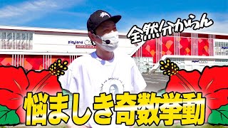 【ホウオウ天翔】圧倒的奇数挙動のハナハナを粘った結果[パチスロ][スロット]