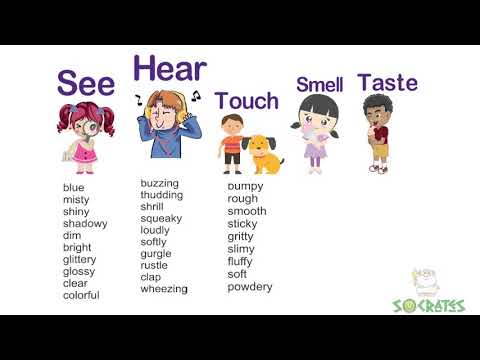 What are some examples of sensory words?