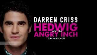 Darren Criss is HEDWIG | Hedwig and the Angry Inch