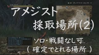 DDON攻略 | アメジスト 採取場所 2 （確定場所） ドラゴンズドグマ オンライン