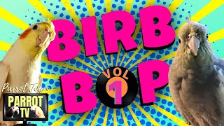 Birb Bop [Vol. 1] Music for Birds to Dance to | Parrot Music TV for Your Bird Room