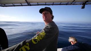 Losing Sea Legs On Apollo Bay Fishing Charters