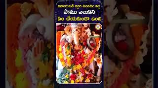 ఈ అద్భుతం చూడండి | #shorts #ytshorts #hindu #haindavam#hinduism#telugu