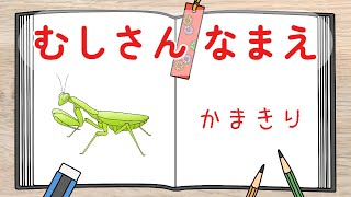 【子供向け 昆虫図鑑】クイズでむしさんの名前を覚えよう！赤ちゃんが喜ぶ、泣き止むアニメ