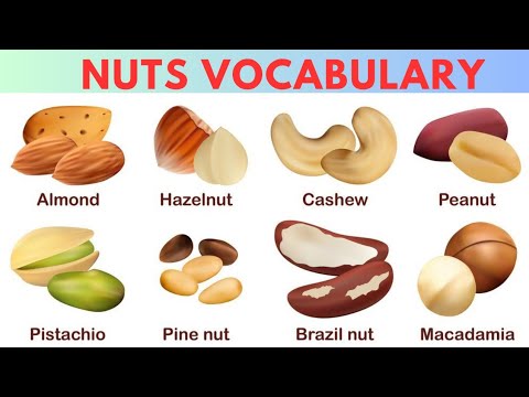 Nuts Vocabulary: Types Of Nuts (Learn English) #english - YouTube