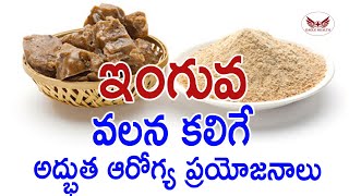 Inguva Benefits in Telugu I ఇంగువ I Health Benefits of Asafoetida in Telugu | Eagle Health