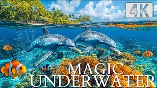 AI UNDERWATER Ocean Exploration Like NEVER Before in 4K 60FPS!