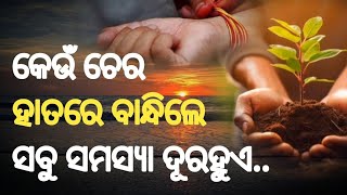 କେଉଁ ଚେର ହାତରେ ବାନ୍ଧିଲେ ସମସ୍ୟା ଦୂର ହୁଏ | Odia Anuchinta part -9 | B k arts \u0026 creations