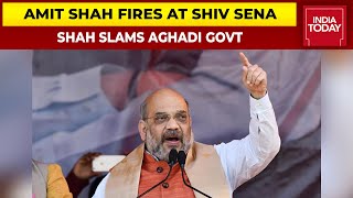 Union Minister Amit Shah's Unsparing Attack On Shiv Sena, Says Party Compromised Hindutva For Power