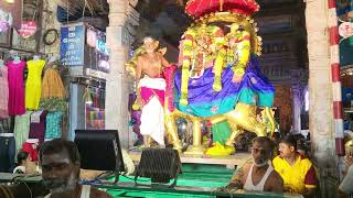 Madurai sri aalavayannal (meenakshi sundereswarar temple) Aavani Mulam Thiruvizha 6th day