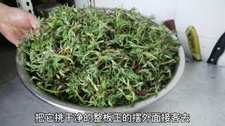 99 柳蒿芽汤真好喝！大厨给漂亮的切墩大姐偷一碗，被老板娘抓住了。