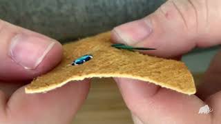Indigenous Artistry - Quillwork