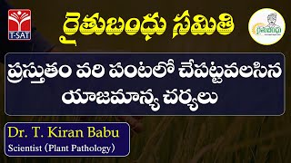 ప్రస్తుతం వరి పంటలో చేపట్టవలసిన యాజమాన్య చర్యలు | రైతుబంధు సమితి, తెలంగాణా వ్యవసాయ శాఖ | LIVE