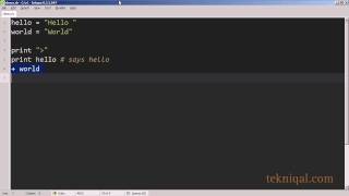 Whitespace In Ruby - tekniqal.com