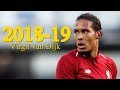 Virgil van Dijk 2018/2019 - Skills & Goals