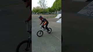 BMX tall order pro Park