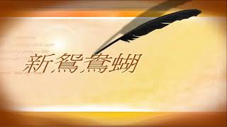 新鴛鴦蝴蝶夢20210702