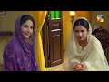 mann mayal episode 10 hum tv drama