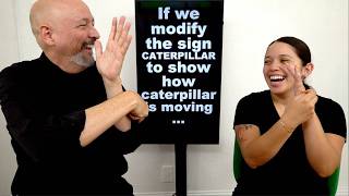ASL Classifiers: CL-1 (Depictive Signing) (L04)