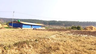 Sale🔥✅Jagga Bikrima In Dang Tulsipur || Land For Sale || Jagga Karobar NEPAL || Real State ||