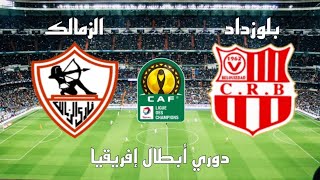 مباراة شباب بلوزداد الجزائري والزمالك المصري في دوري أبطال إفريقيا الجولة 5 - موعد وتوقيت والقنوات