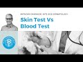 Veterinary Dermatology Top Tips - Skin test Vs Blood Test