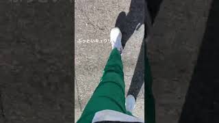 歩く可愛い動画に憧れた私が馬鹿だった…#歩く#キュウリ#ぶっといキュウリ