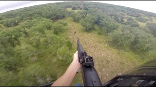 Helicopter Eradication of Invasive Wild Hogs - West Kerr Ranch