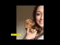 Very funny cats and dogs😂 Laugh to tears at cats and dogs (Funny Animals) #1@