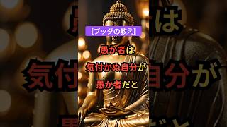 【ブッダの教え・愚か者は気付かぬ自分が愚か者だと】💚 #ブッダ #仏教 #ブッダの教え＃名言 #shorts