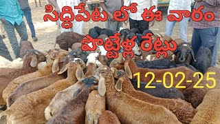 సిద్దిపేటలో ప్రతి బుధవారం అంగడి జరుగుతుంది తెలంగాణ స్టేట్#008