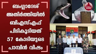 Border force seizes snake venom worth Rs 57 crore from Bangladesh border | Keralakaumudi