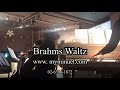 웨딩연주 마이미뉴엣 피아노 3중주 brahms waltz 화촉점화 아모리스 강남점