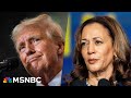 ‘Wuss’: George Conway on why Trump is ‘scared’ to debate Kamala Harris 