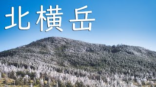 北八ヶ岳・北横岳【夫婦登山】