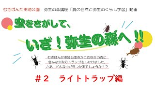 弥生の森講座「夏の自然と弥生のくらし学習」虫を探して、いざ！弥生の森へ！！　＃２ライトトラップ編