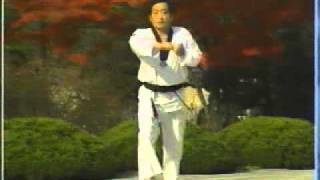 9. Poomsae Ilyeo